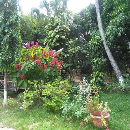 Hostal Casa Vieja Chiquimula Kültér fotó