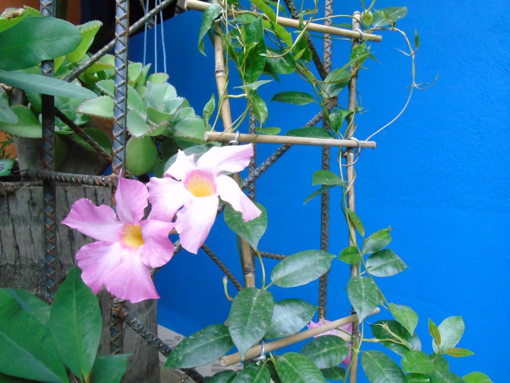 Hostal Casa Vieja Chiquimula Kültér fotó