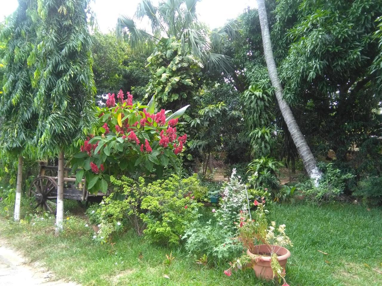 Hostal Casa Vieja Chiquimula Kültér fotó
